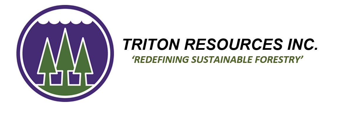 Logo_Triton